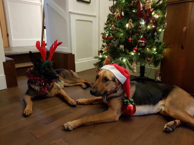 Christmas Ginny Loki