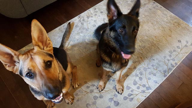 Ginny-Loki