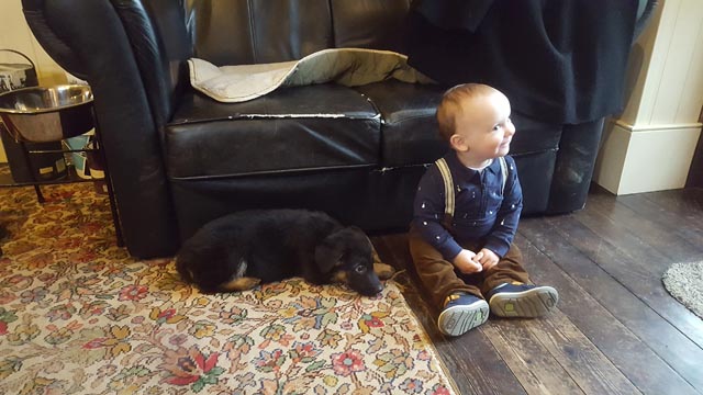 Ginny Puppy And Keir