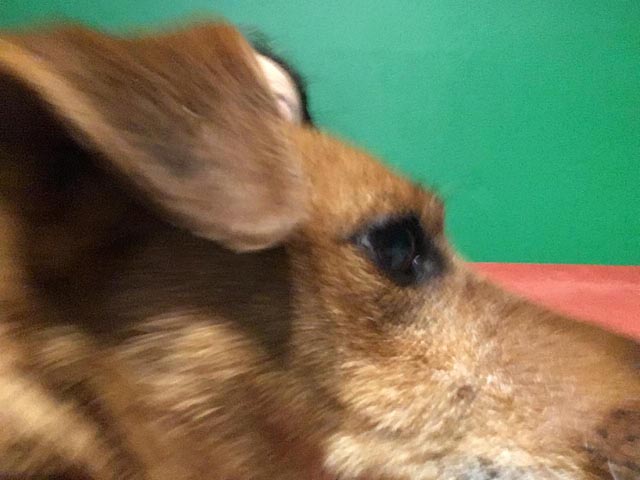 Hetty CloseUp