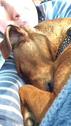 Snoring Hetty