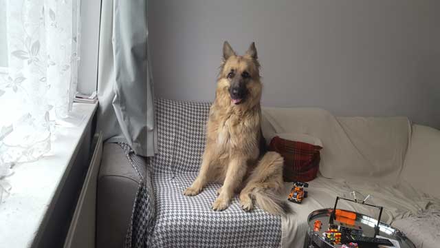 JJ 12th June 2020