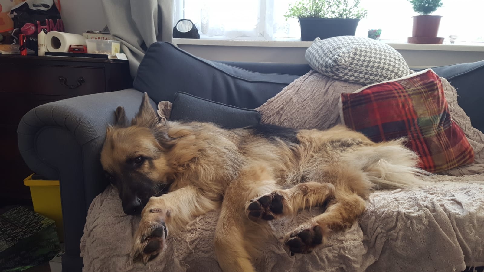 JJ On Sofa.
