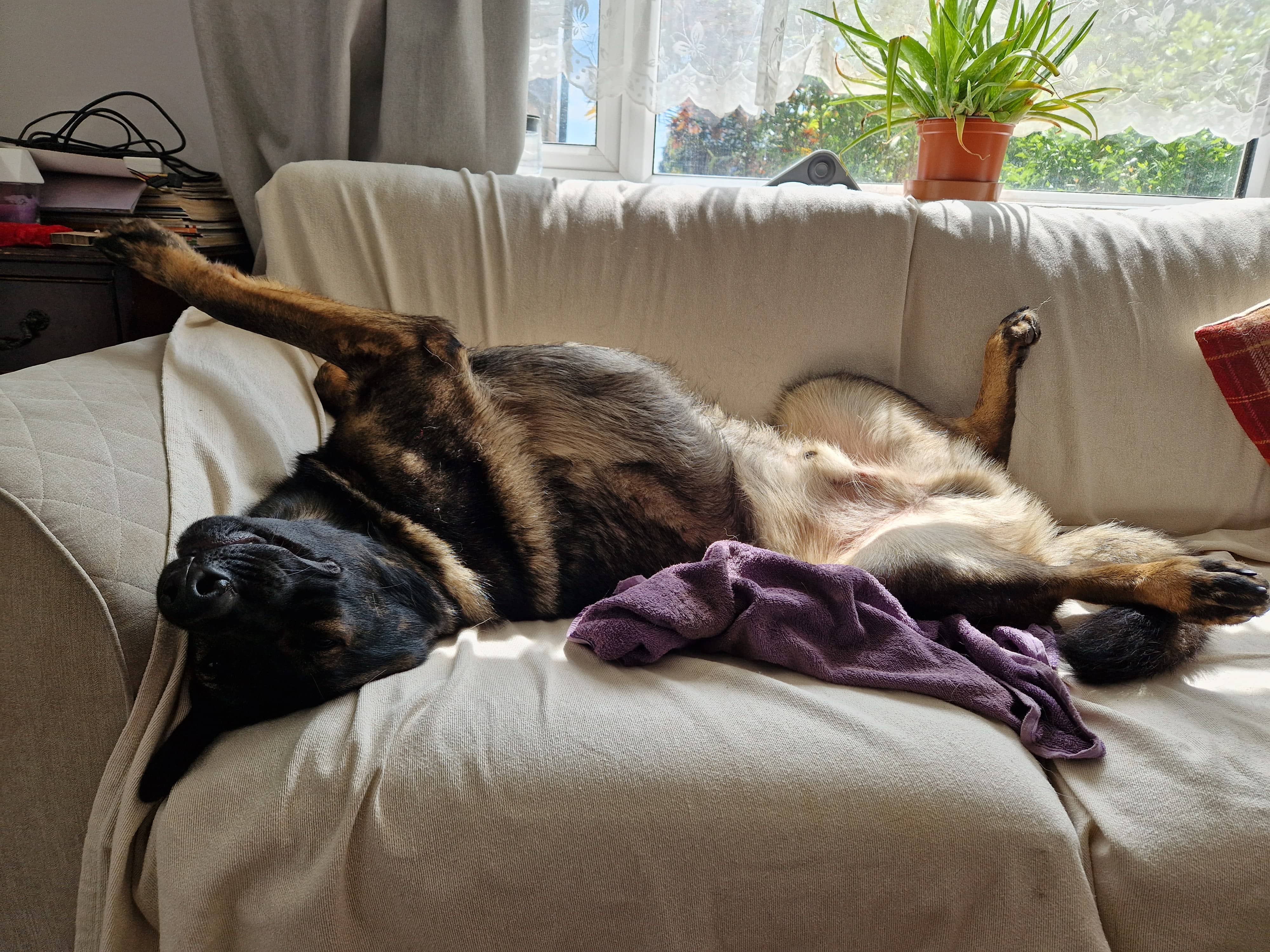 Big Stretch - May 2024