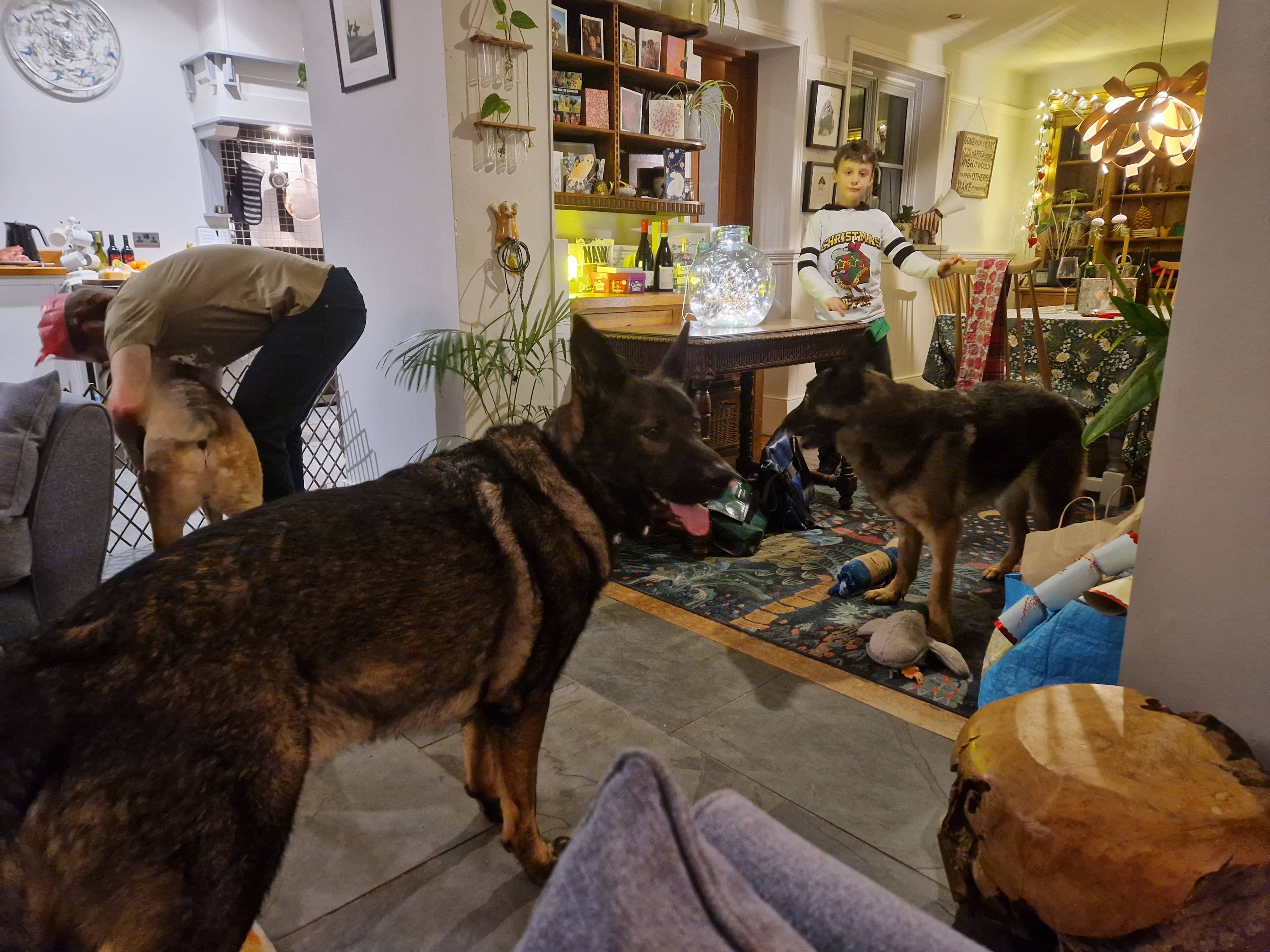 Ronnie Ginny Loki - Dec 2024