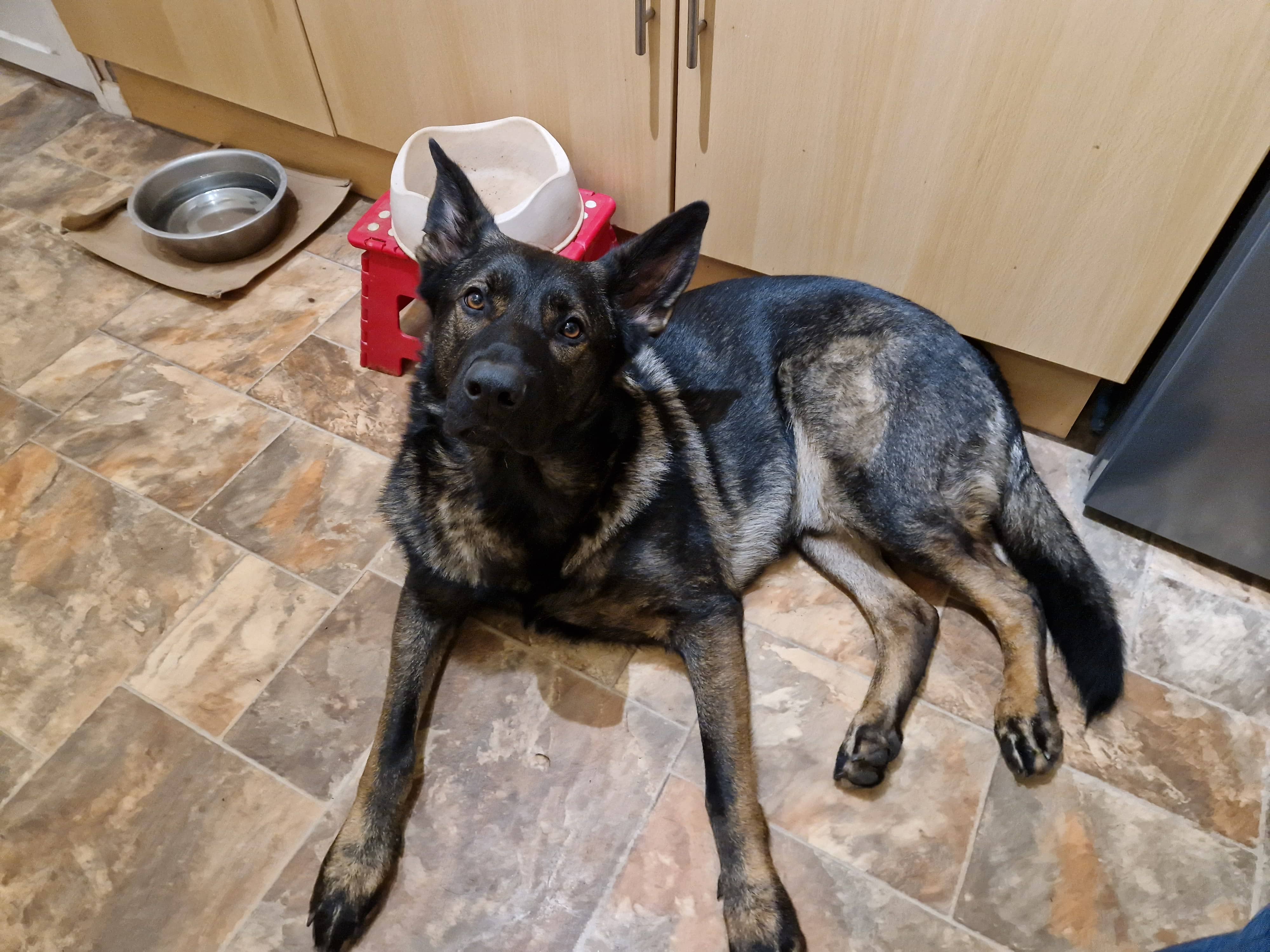 Wheres Treats - Jan 2024
